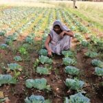 संघर्ष से सफलता तक: मेहनत ने बदली जिंदगी की दिशा