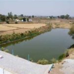 अमृत सरोवर से रिझोरा में लौटी हरियाली और खुशहाली