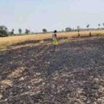 पगही और विझवल गांव में भीषण अग्निकांड, किसानों पर टूटा दुखों का पहाड़