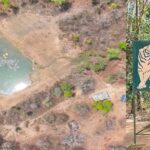 Tiger Reserve Safety: उदंती सीतानदी में हाईटेक निगरानी और ‘फायर-वॉटर’ मॉडल से जंगल को मिली सुरक्षा