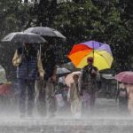 एमपी में तूफान और बारिश का डबल अटैक, कई जगह पेड़ गिरे और बिजली व्यवस्था बाधित