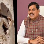 अयोध्या के फैसले पर देश ने दिए भाईचारे के प्रमाण, मध्यप्रदेश भी ऐसा आदर्श स्थान
