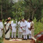 दिल्ली का रिज बनेगा ग्रीन हब, देसी पेड़ों से प्रदूषण कम करने की बड़ी तैयारी