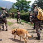 Shopian Encounter: 5 दिन से घिरा लश्कर आतंकी जाकिर गनई मारा गया, पुलिस ने कहा- ‘You can run, but you can’t hide’
