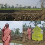 बारिश से लबालब हुए नवा तरिया और आजीविका डबरियां, जल संरक्षण अभियान को मिली रफ्तार